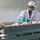 Image for article titled In Defense of Pink Slime
